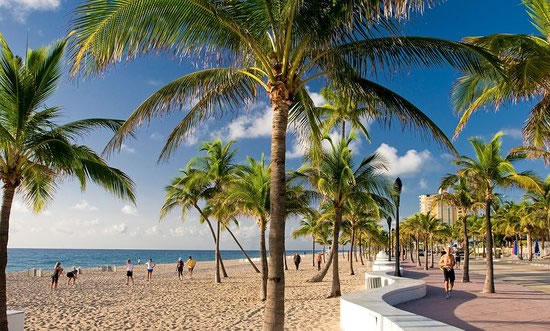 The year ahead: A glimpse at the economic outlook for South Florida