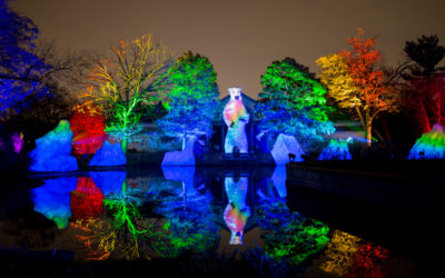 Philly Zoo Embraces the Festive Spirit with LumiNature