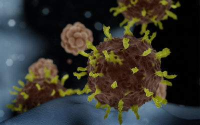 GFL Businesses Adapt as Coronavirus Threat Looms for US