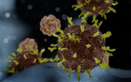 GFL Businesses Adapt as Coronavirus Threat Looms for US