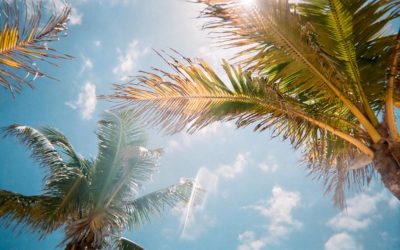 How to shake the COVID-19 blues in South Florida