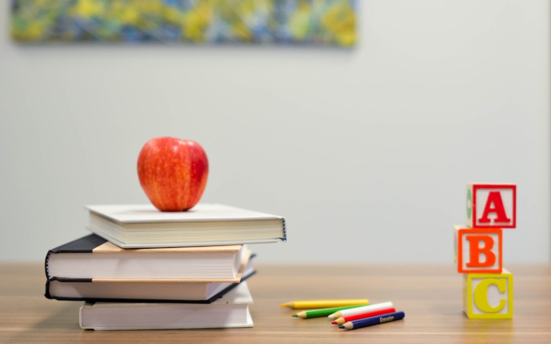 Palm Beach education leaders assess 2020-21 academic year