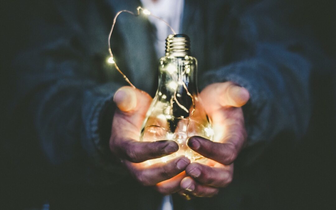 Innovation and Sustainability: Palm Beach County entrepreneurs endeavor to preserve the world