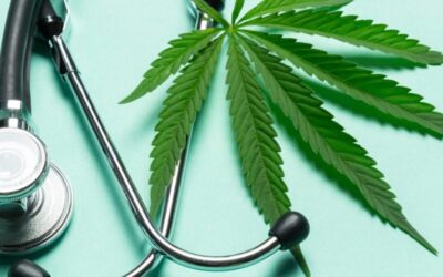 Medical Marijuana – Florida’s current gold rush